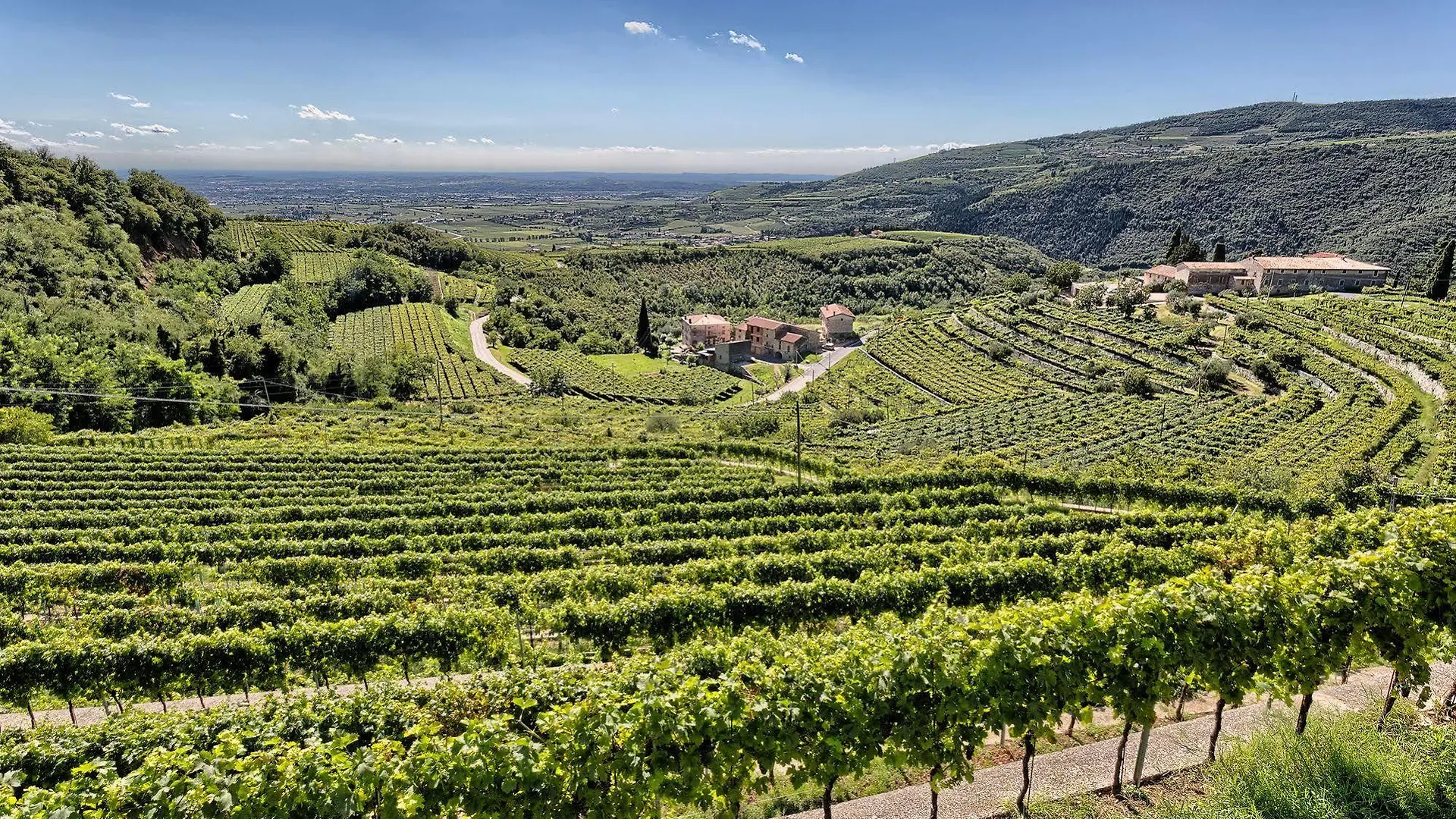 Hotel Valpolicella International San Pietro in Cariano